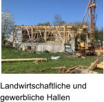 Landwirtschaftliche und gewerbliche Hallen