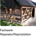 Fachwerk-Reparatur/Reproduktion
